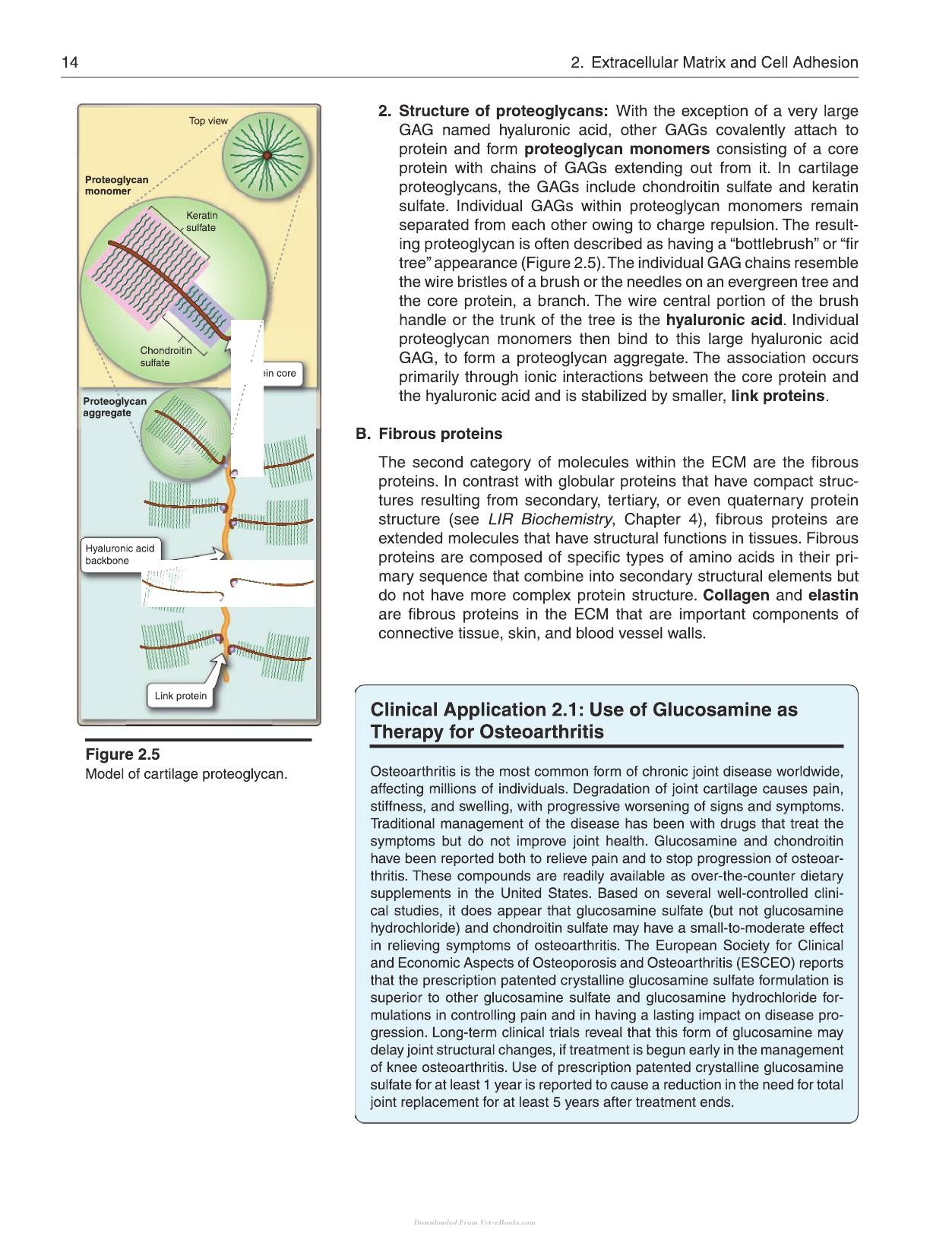 Lippincott Illustrated Reviews Cell and Molecular Biology 2nd Edition