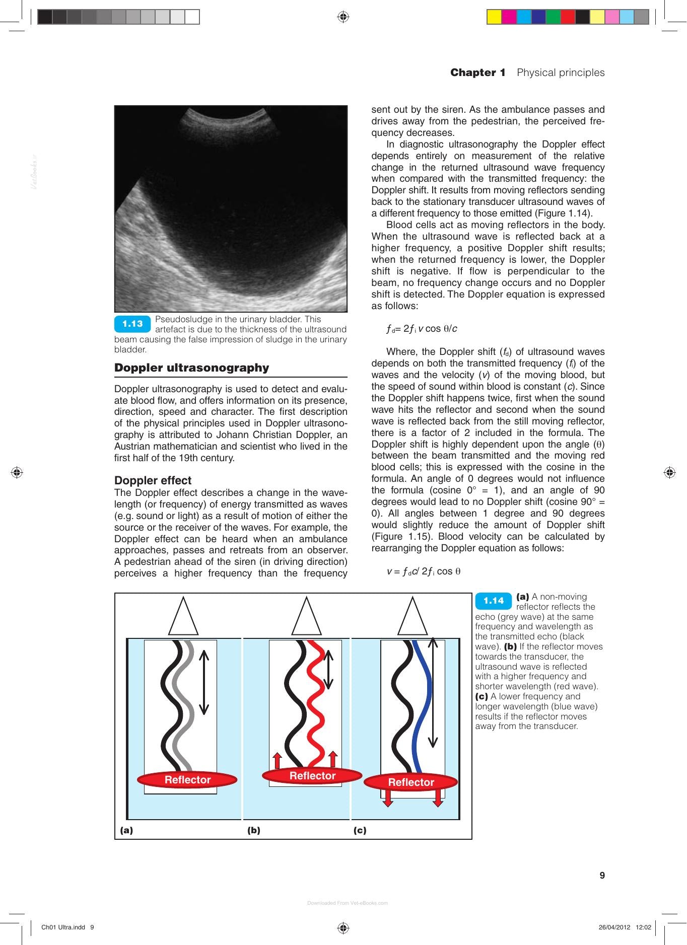 Bsava Manual of Canine and Feline Ultrasonography
