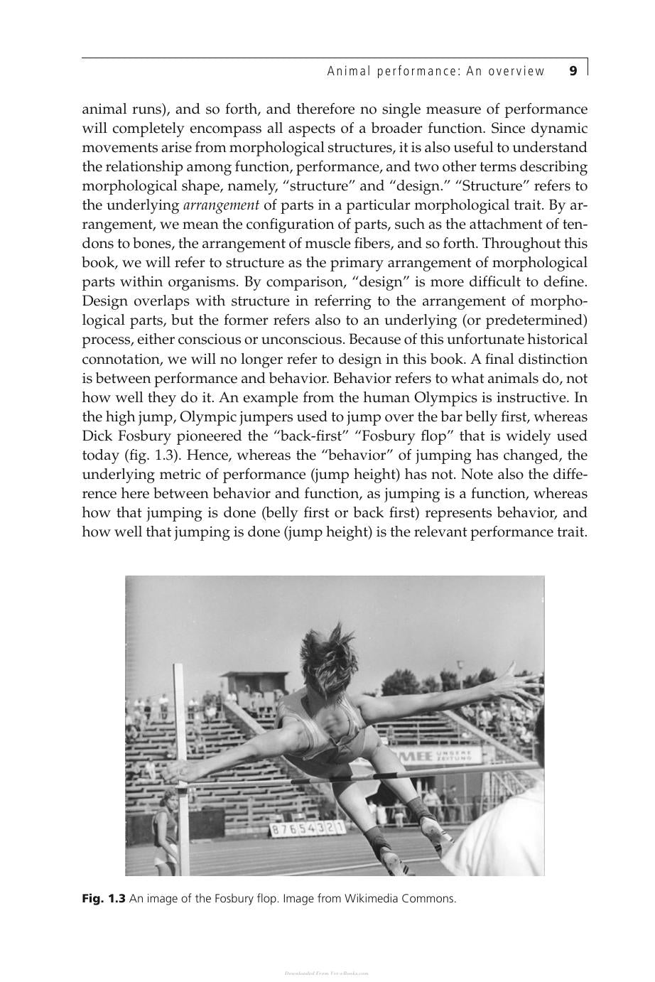 Animal Athletes An Ecological And Evolutionary Approach