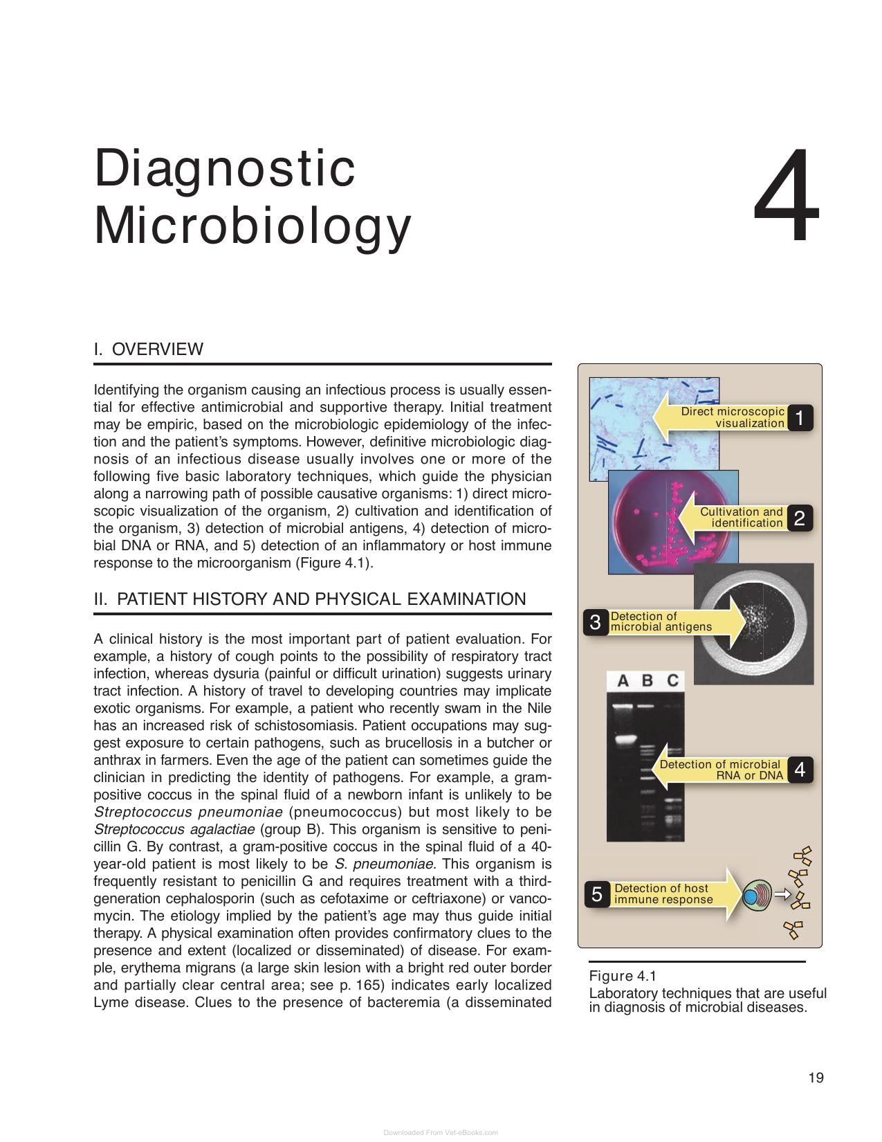 Lippincotts Illustrated Reviews Microbiology 3rd Edition