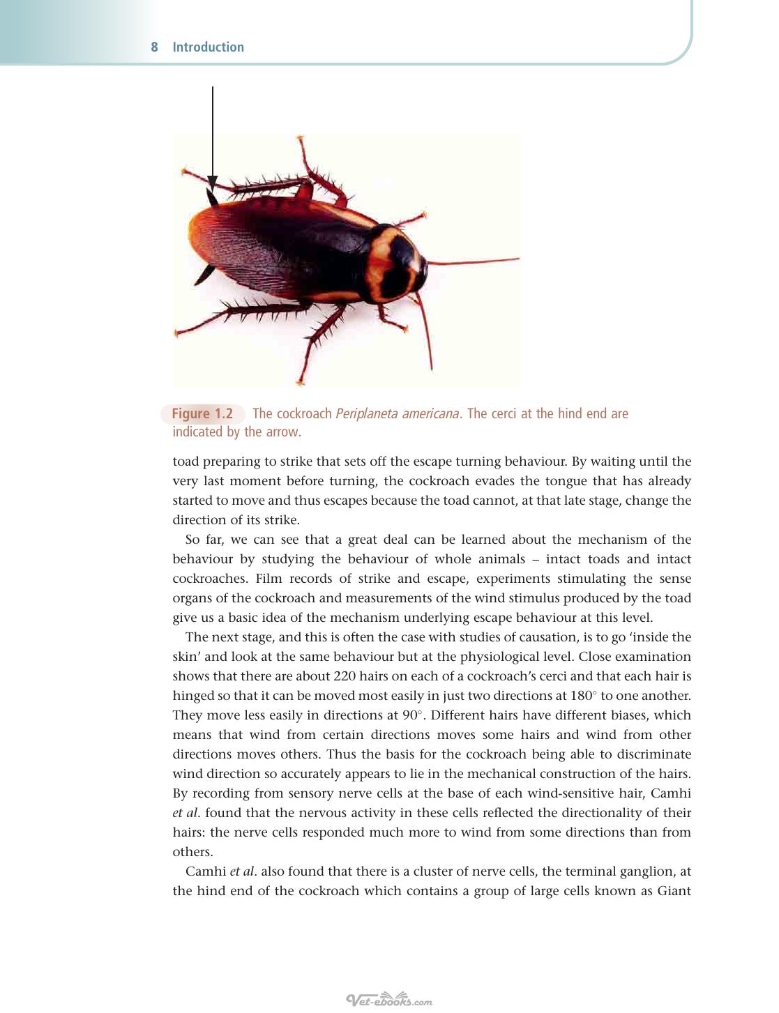 An Introduction to Animal Behaviour 6th Edition