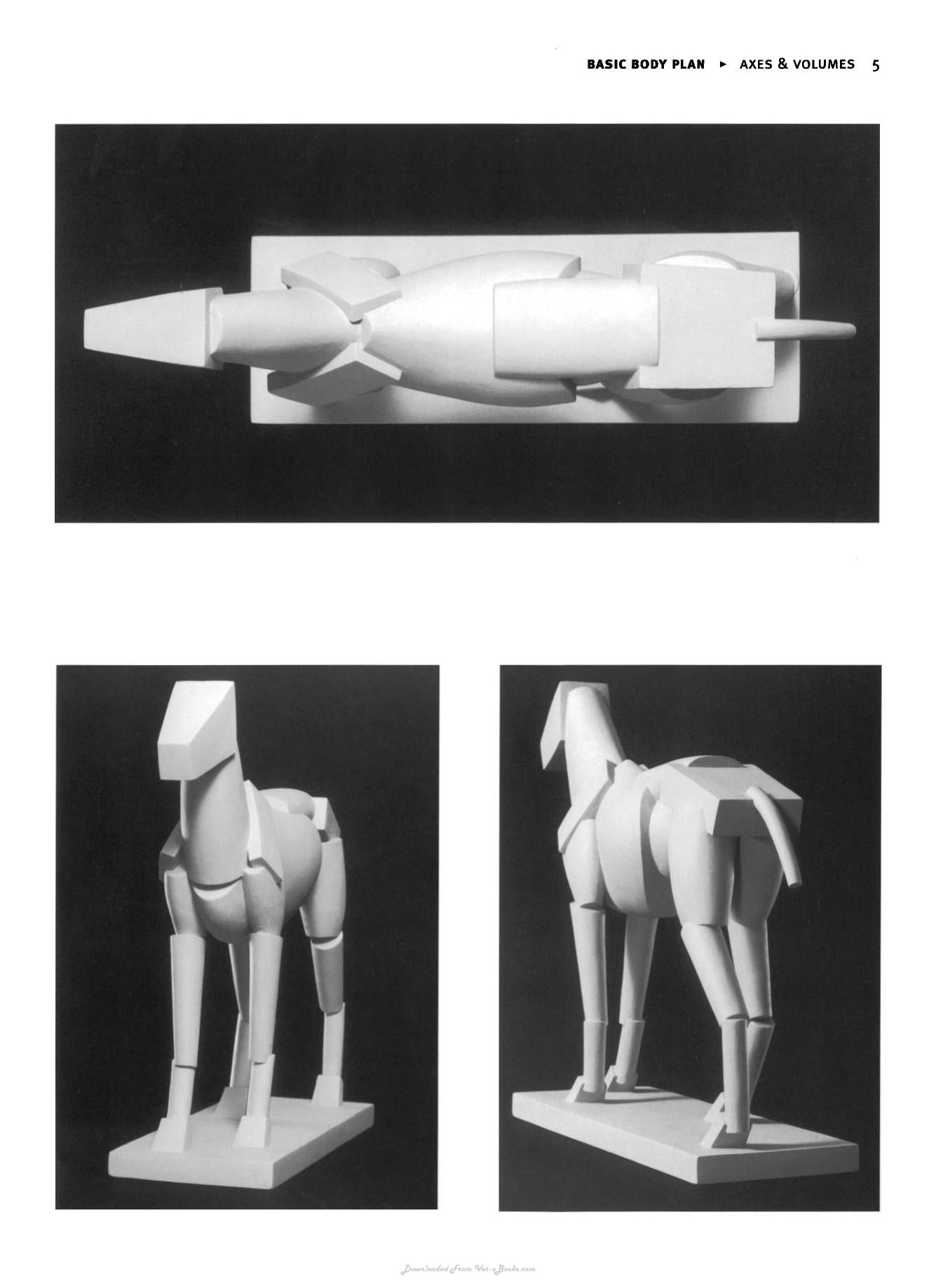 Animal Anatomy For Artists The Elements Of Form