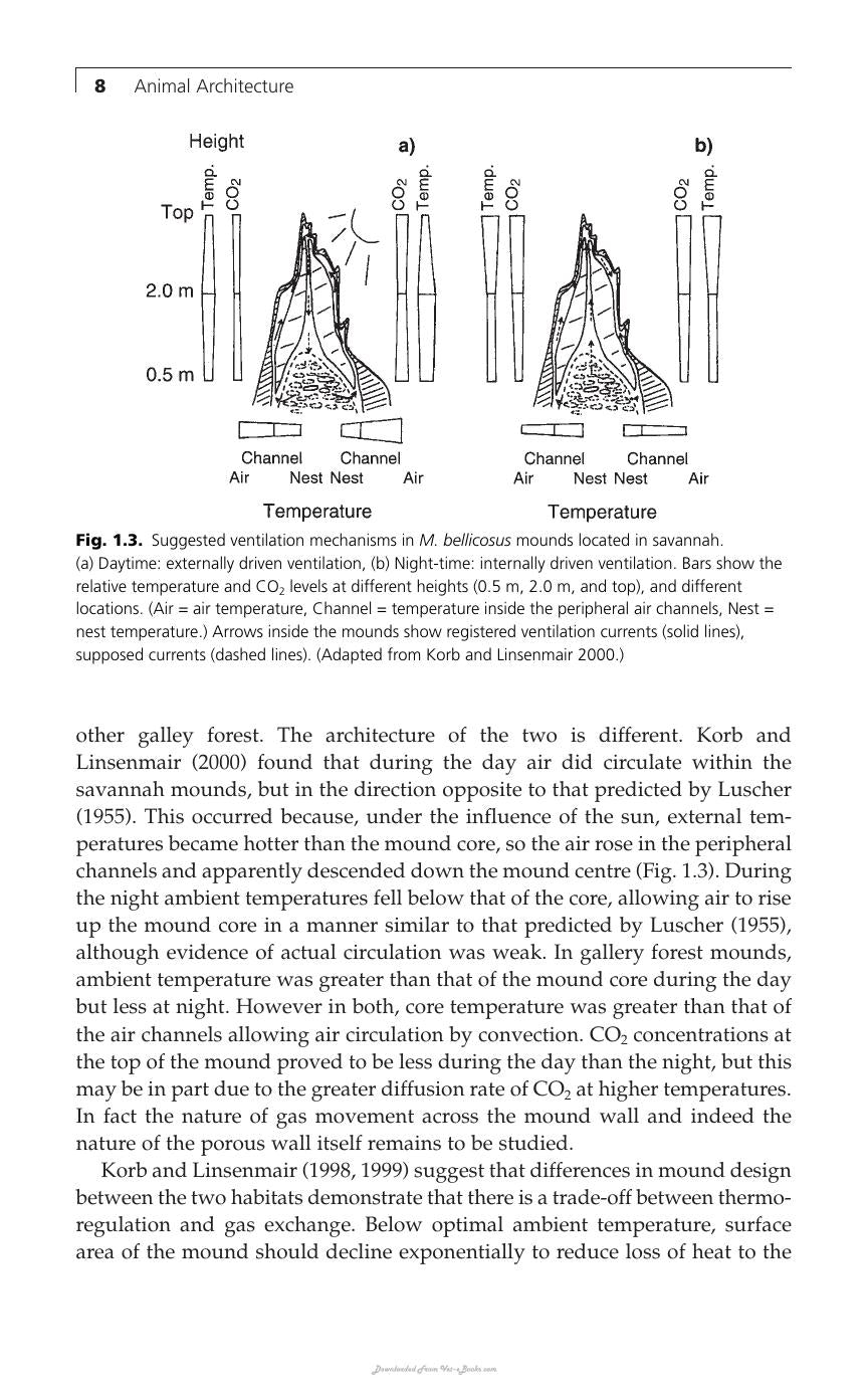 Animal Architecture