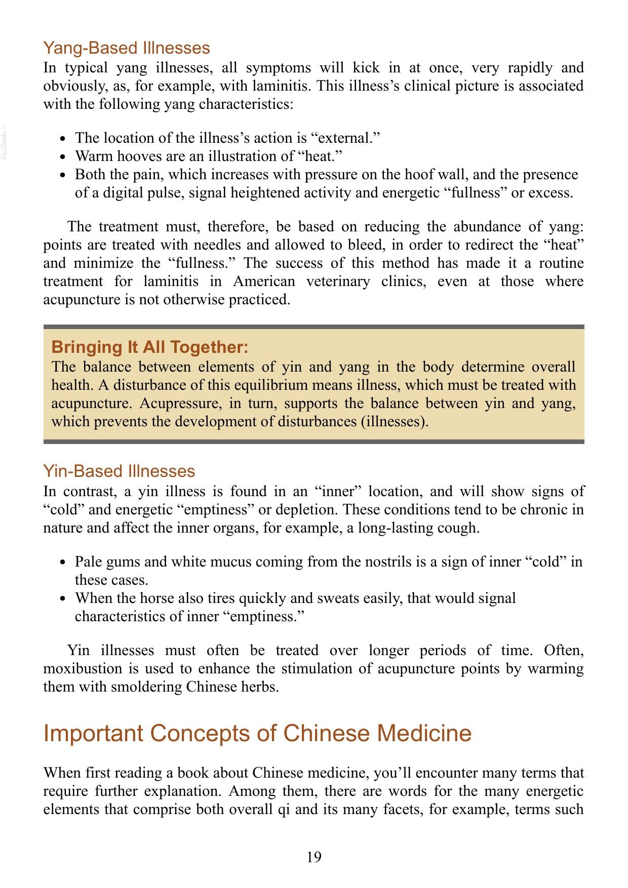 Acupressure for Horses Hands on Techniques to Solve Performance Problems and Ease Pain and Discomfort Pdf