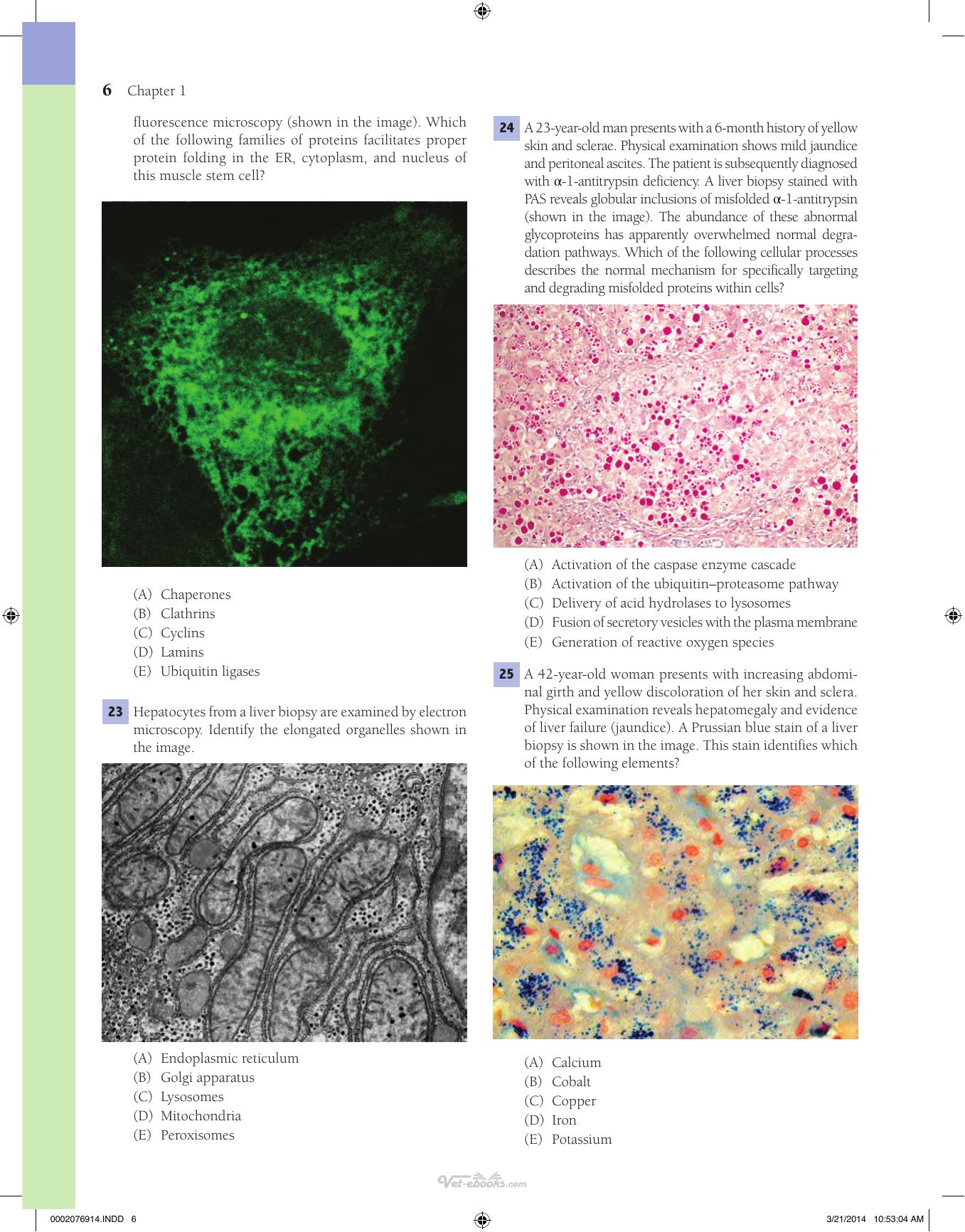Lippincotts Illustrated Qa Review of Histology