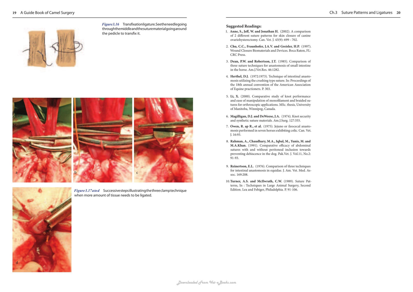 A Guide Book Of Camel Surgery