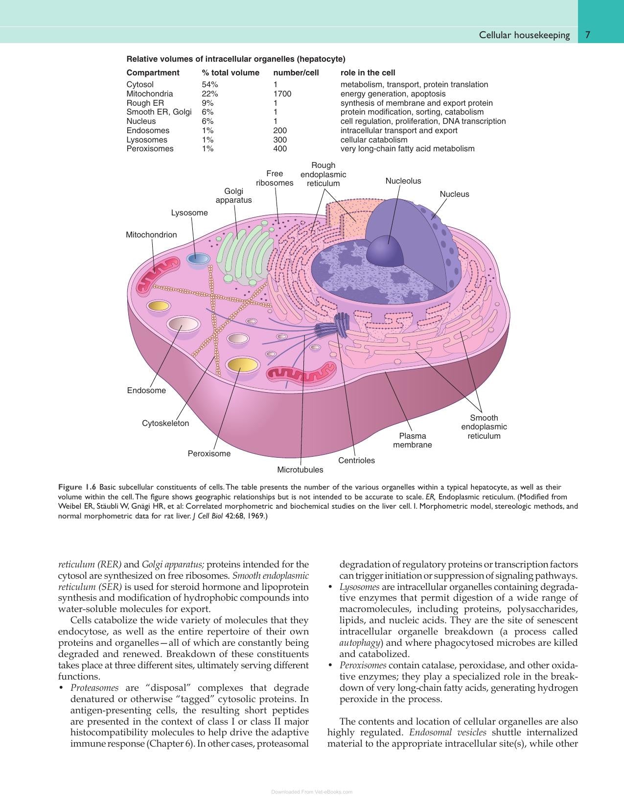 Robbins and Cotran Pathologic Basis of Disease Pdf