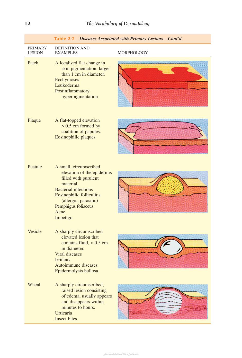 Small Animal Dermatology Secrets