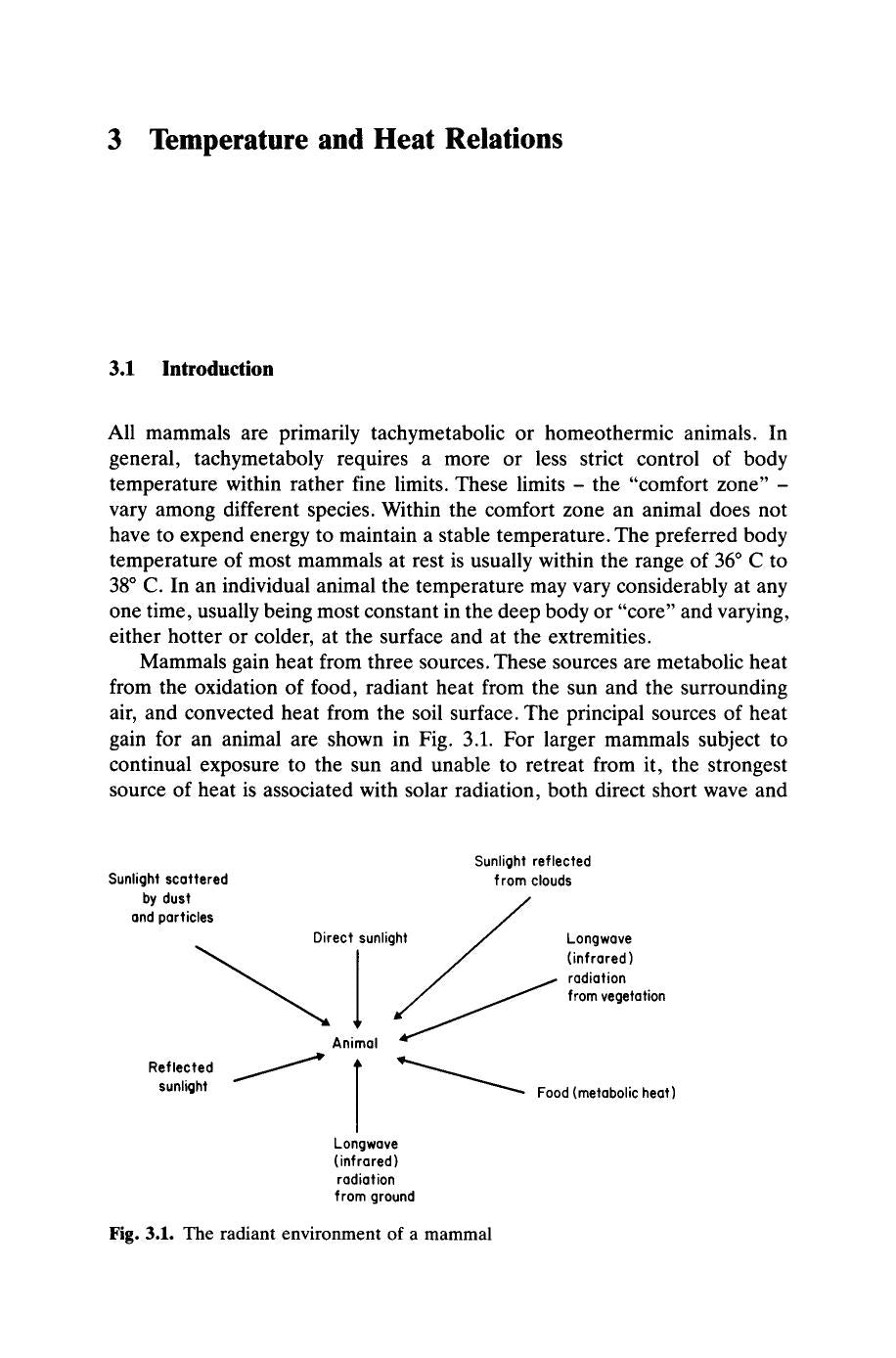 Ecophysiology Of The Camelidae And Desert Ruminants