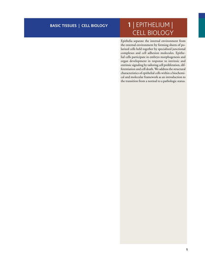 Histology and Cell Biology an Introduction to Pathology 5th Edition Pdf