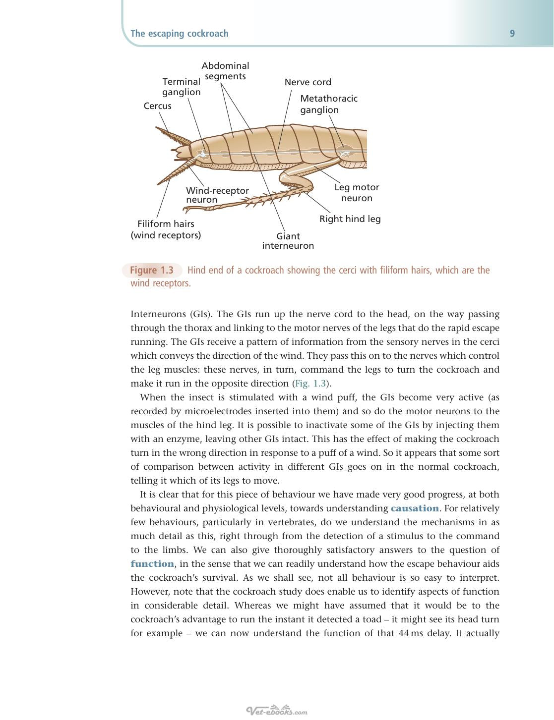 An Introduction to Animal Behaviour 6th Edition