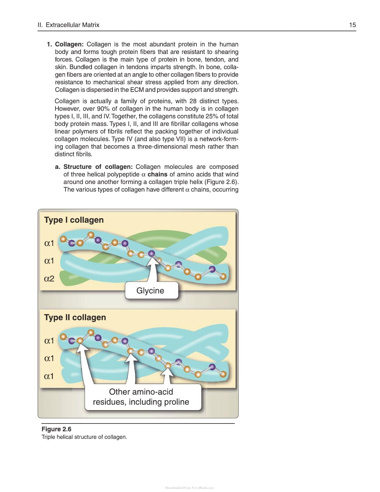 Lippincott Illustrated Reviews Cell and Molecular Biology 2nd Edition