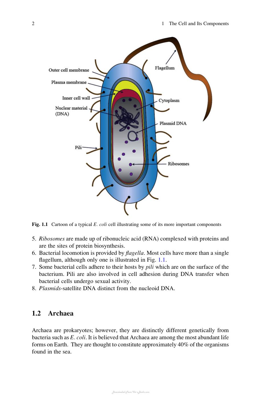 Essentials of Biochemistry PDF