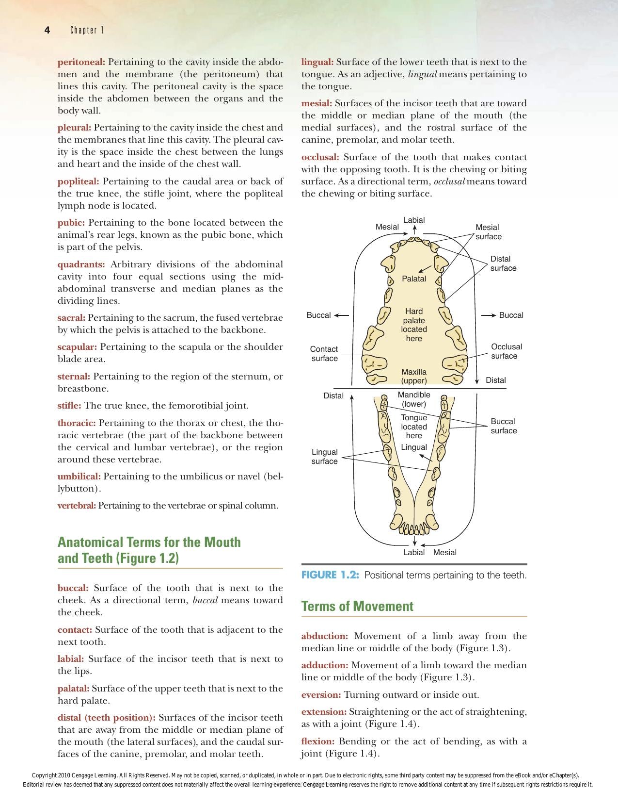 Laboratory Manual Comparative Veterinary Anatomy Physiology 2nd Edition