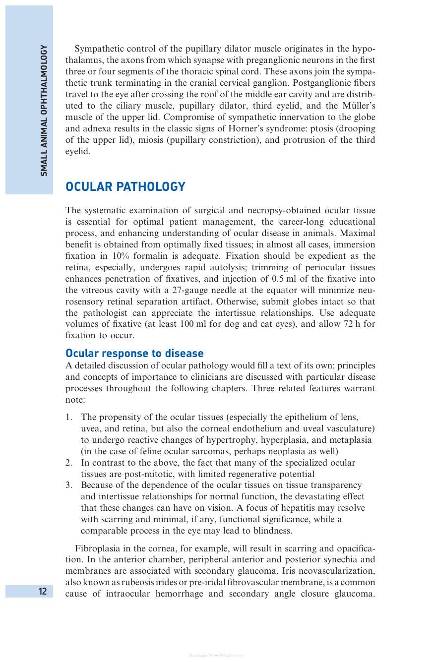 Small Animal Ophthalmology 4Th Edition