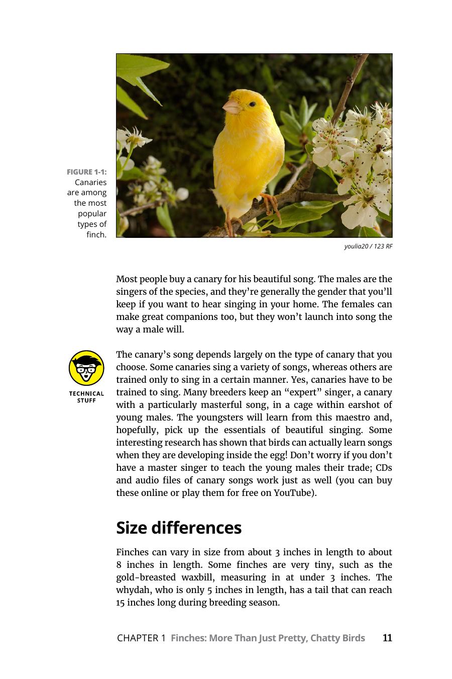 Finches for Dummies 2nd Pdf
