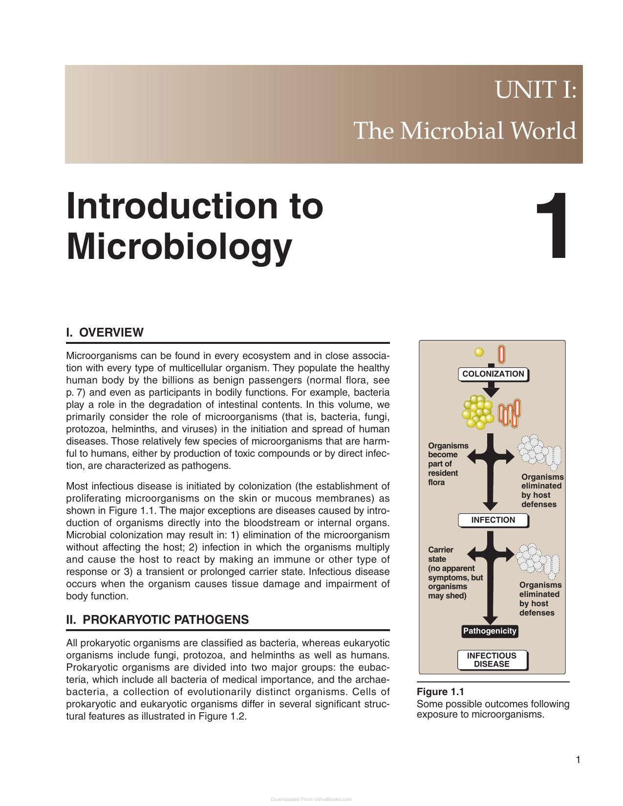 Lippincotts Illustrated Reviews Microbiology 3rd Edition
