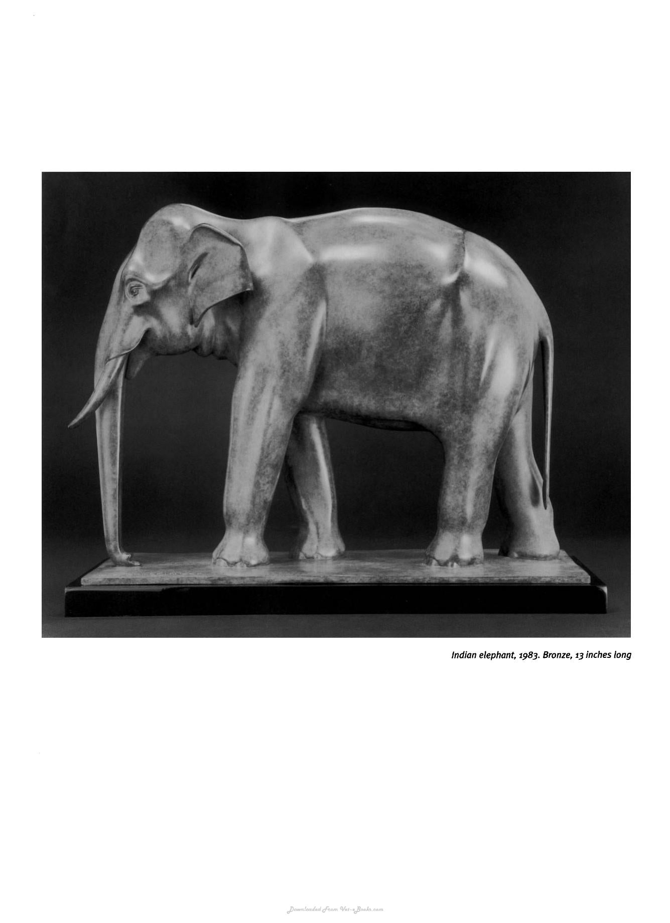 Animal Anatomy For Artists The Elements Of Form