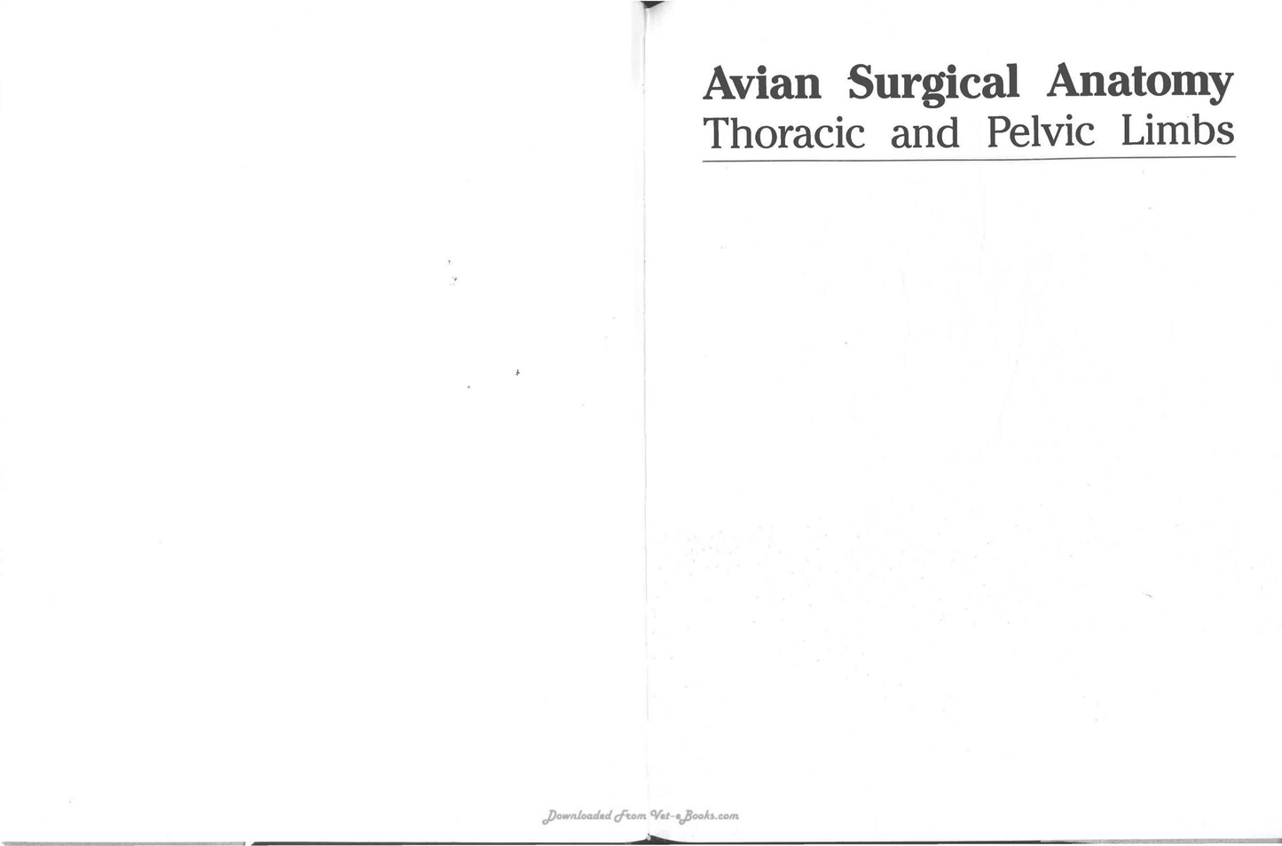 Avian Surgical Anatomy Thoracic And Pelvic Limbs