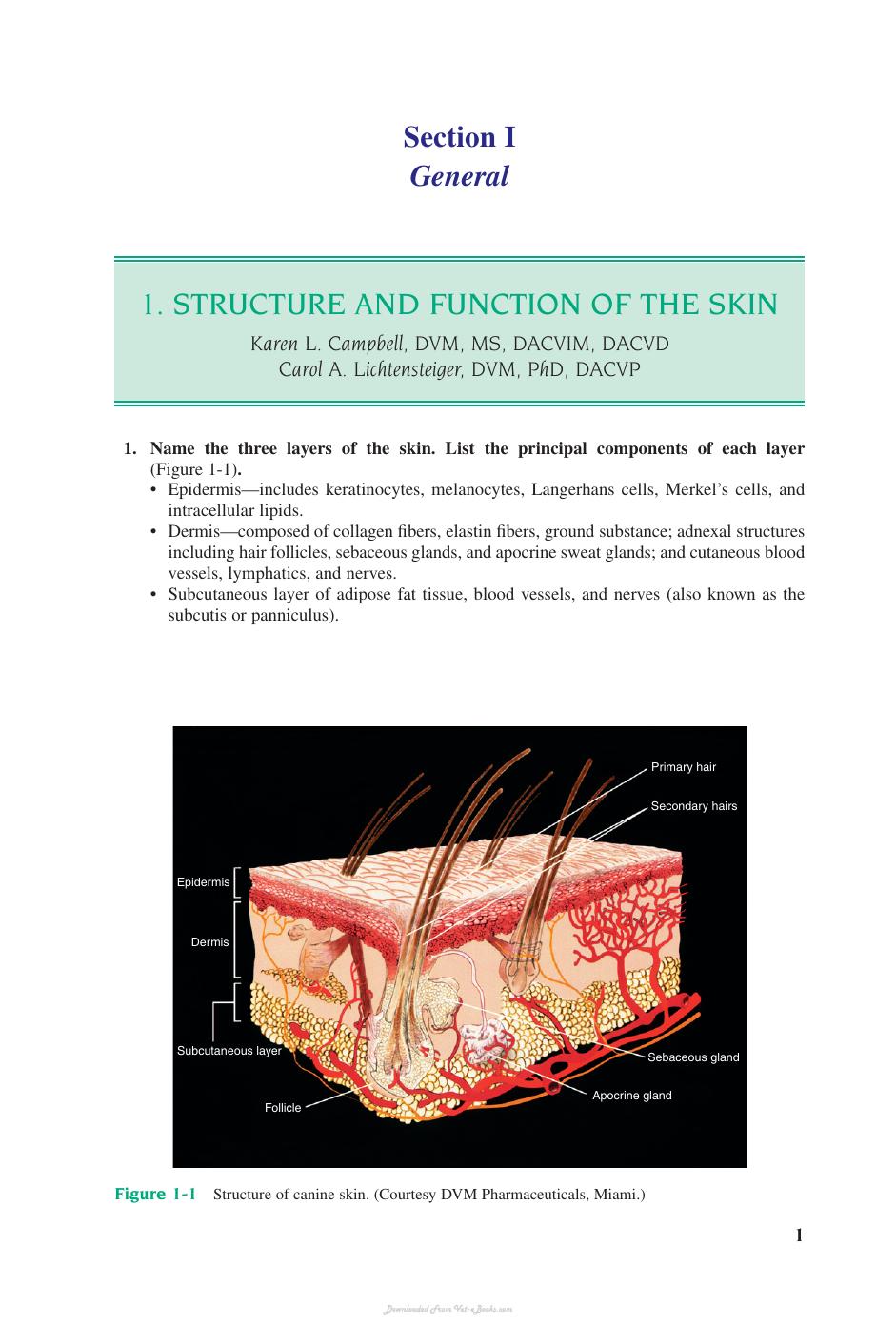 Small Animal Dermatology Secrets