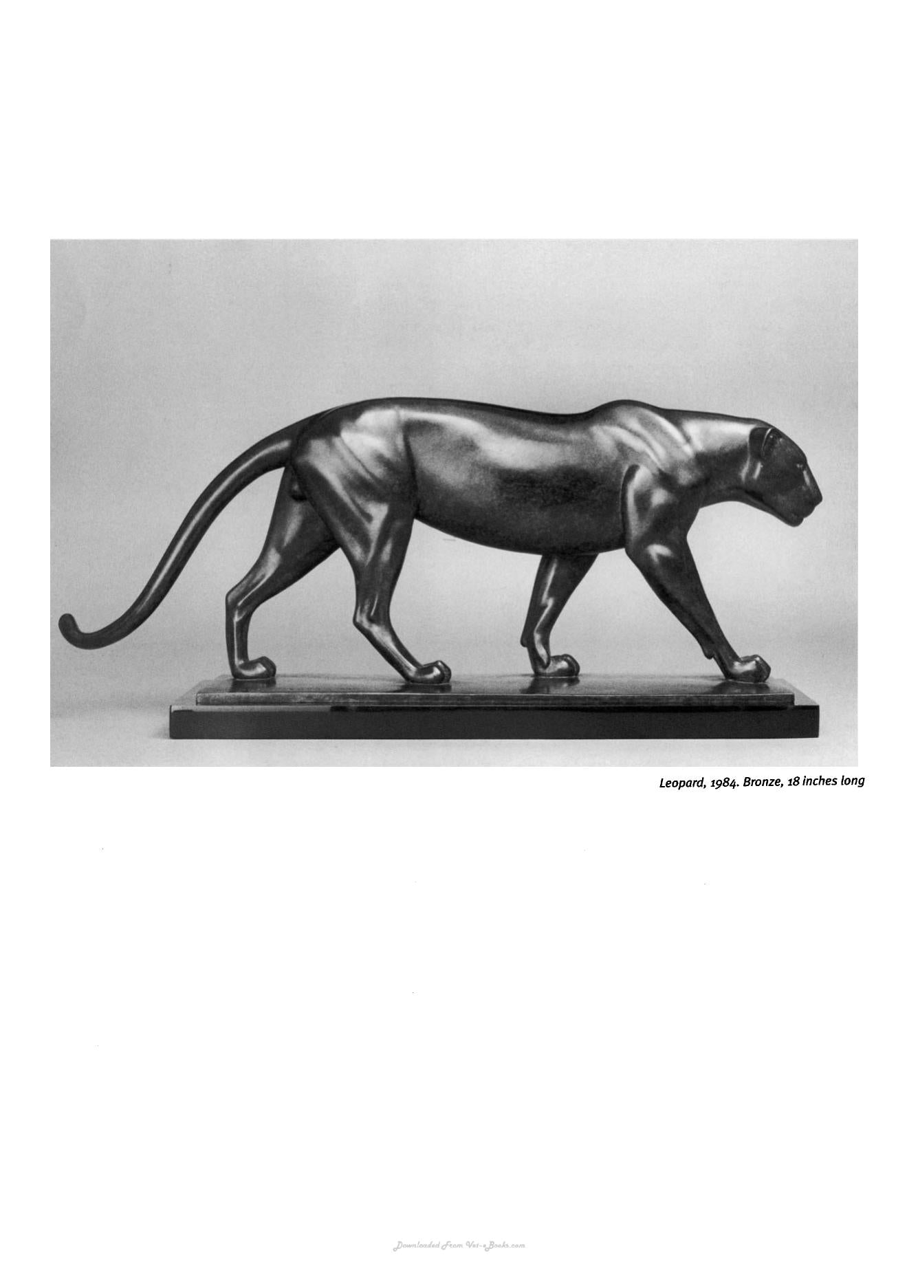 Animal Anatomy For Artists The Elements Of Form