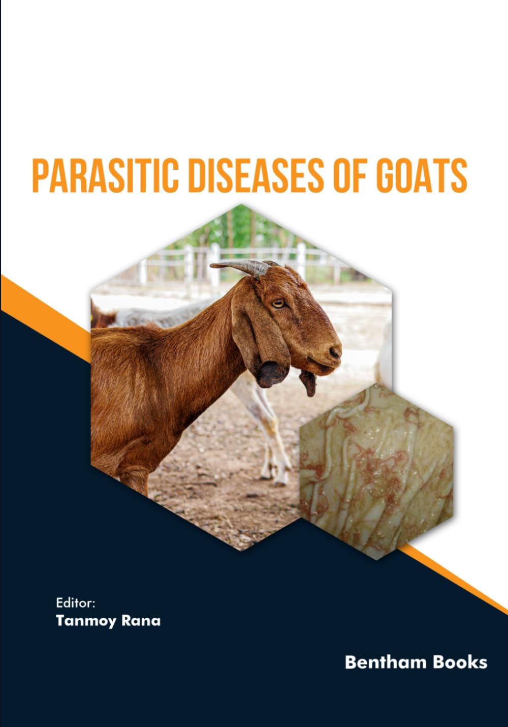 Parasitic Diseases Of Goats — front cover