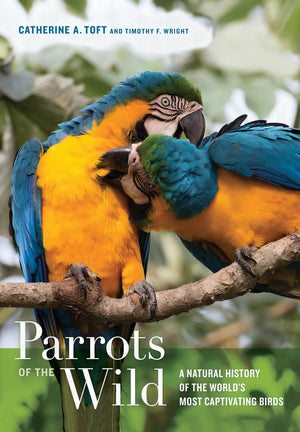 Parrots Of The Wild A Natural History Of The Worlds Most Captivating Birds