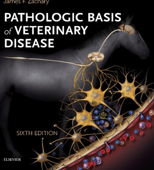 Pathologic Basis Of Veterinary Disease 6Th Edition