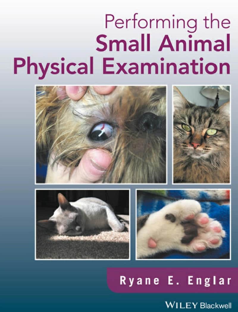 Performing The Small Animals Physical Examinations