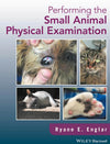 Performing The Small Animals Physical Examinations