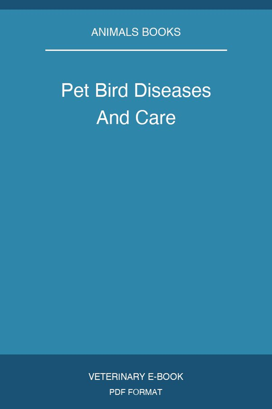 Pet Bird Diseases And Care