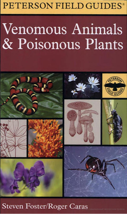 Peterson Field Guide Venomous Animals And Poisonous Plants