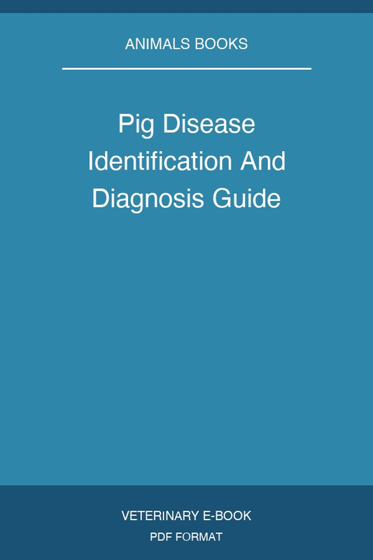 Pig Disease Identification And Diagnosis Guide