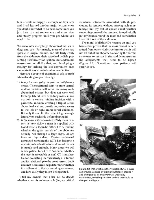 Pitfalls In Veterinary Surgery