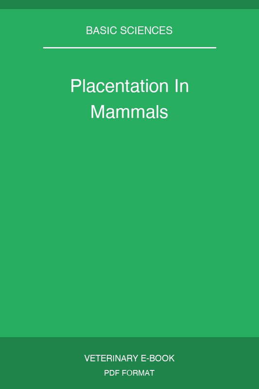 Placentation In Mammals