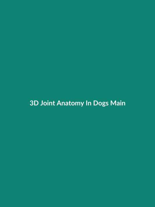 3D Joint Anatomy In Dogs Main Joint Pathologies And Surgical Approaches - Veterinary E-Book Cover
