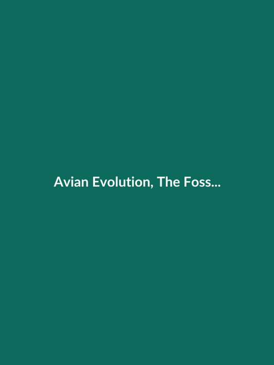 Avian Evolution, The Fossil Record of Birds and its Paleobiological Significance - Veterinary E-Book Cover