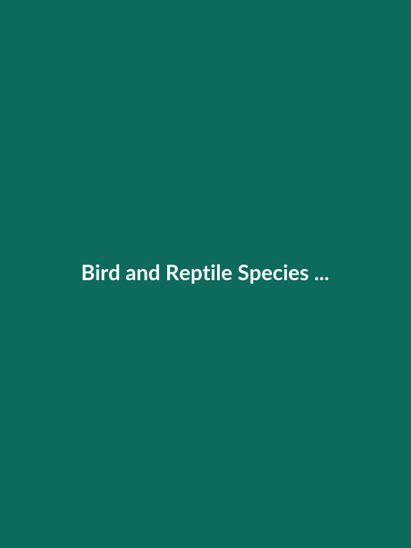 Bird and Reptile Species in Environmental Risk Assessment Strategies - Veterinary E-Book Cover
