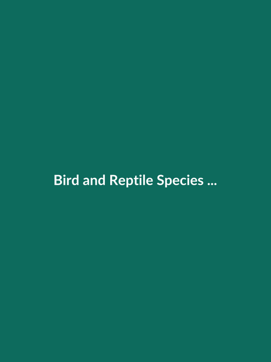 Bird and Reptile Species in Environmental Risk Assessment Strategies - Veterinary E-Book Cover