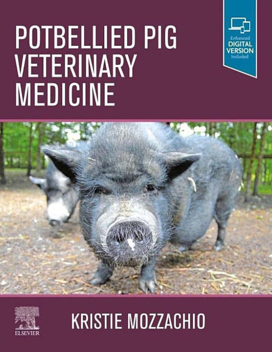 Potbellied Pig Veterinary Medicine