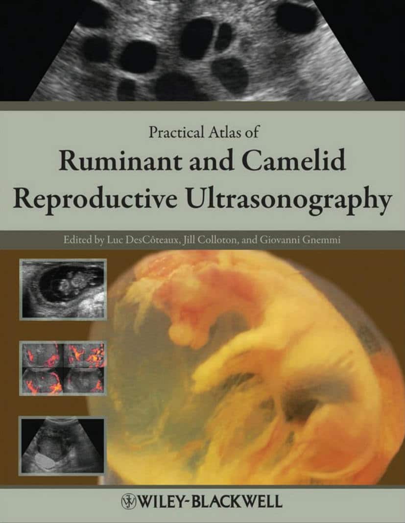 Practical Atlas Of Ruminant And Camelid Reproductive Ultrasonography