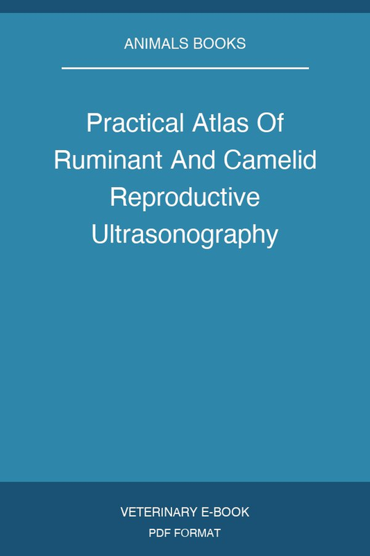 Practical Atlas Of Ruminant And Camelid Reproductive Ultrasonography
