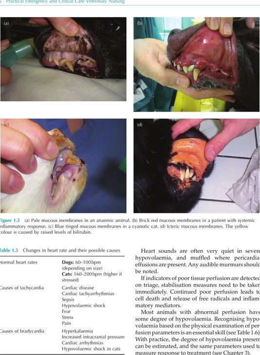 Practical Emergency And Critical Care Veterinary Nursing