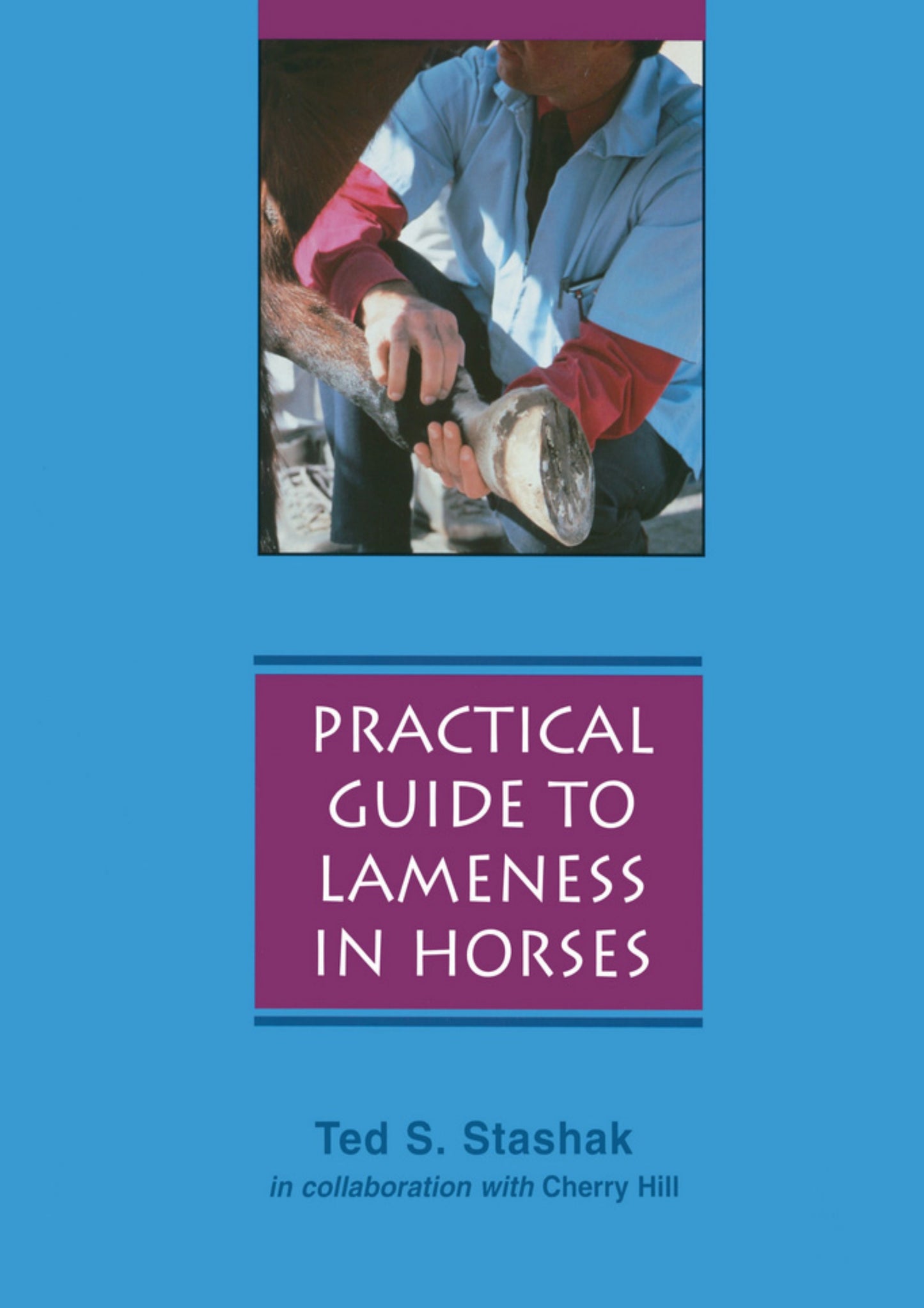 Practical Guide To Lameness In Horses 4Th Edition