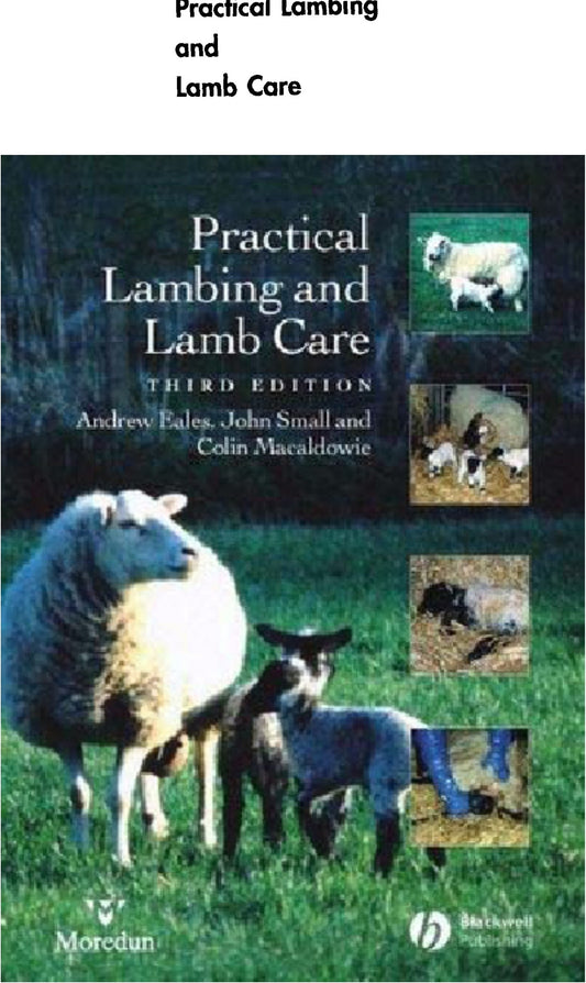 Practical Lambing And Lamb Care A Veterinary Guide 4Th Edition