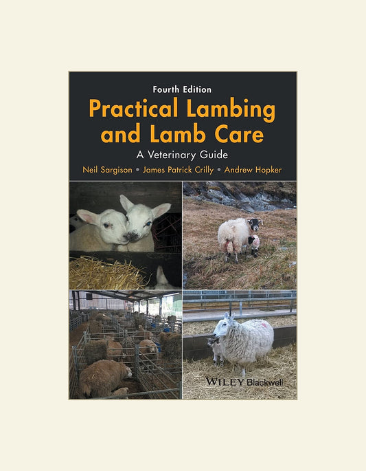 Practical Lambing And Lamb Care A Veterinary Guide 4Th Edition — front cover