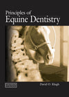 Principles Of Equine Dentistry