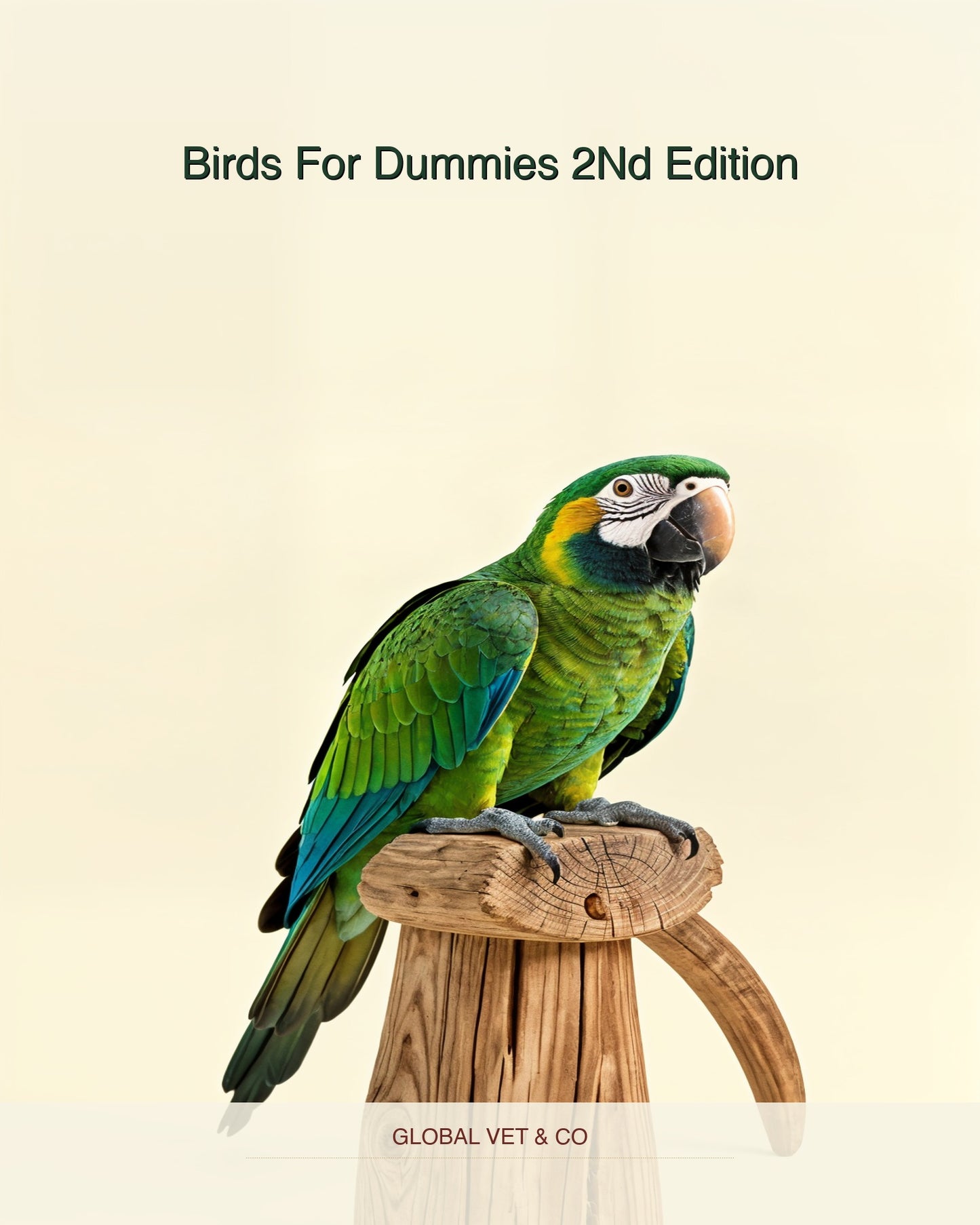 Birds For Dummies 2Nd Edition