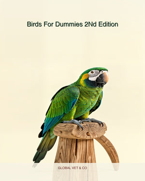 Birds For Dummies 2Nd Edition