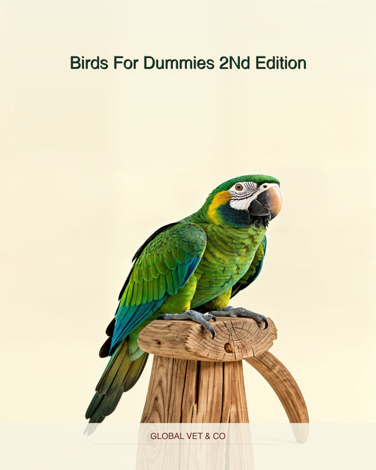 Birds For Dummies 2Nd Edition